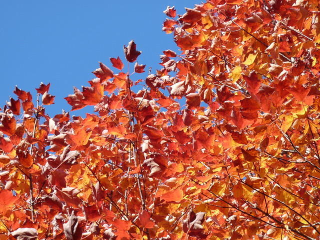 Nothing Over The Top Please