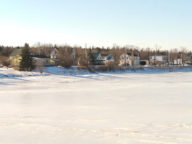 Shore Line Houses