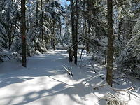 Snowshoe Trails